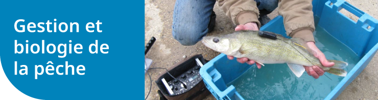 Gestion et biologie de la pêche