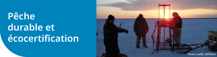 Pêche durable et écocertification