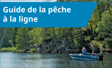 Guide de la pêche à la ligne