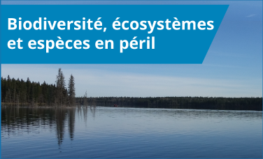 Biodiversité, écosystèmes et espèces en péril