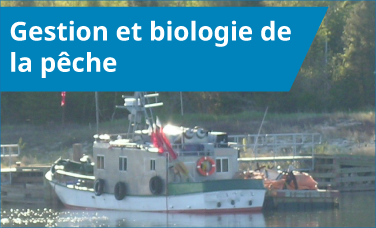 Pêche commerciale