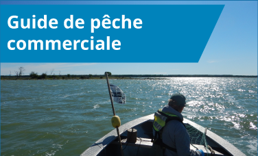Guide de pêche commerciale