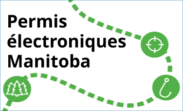 Permis électroniques Manitoba