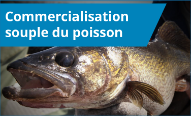 Commercialisation souple du poisson