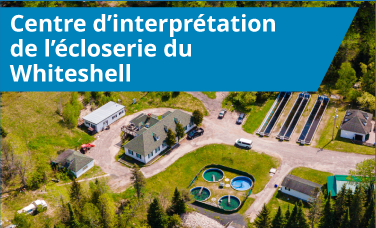 Centre d’interprétation de l’écloserie du Whiteshell