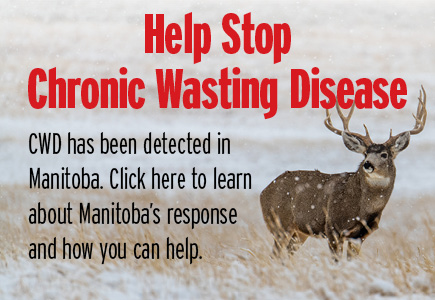 Help shape the future of hunting in Manitoba. Fill out the short Hunter Harvey Survey today at manitobaelicensing.ca