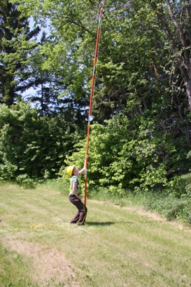 Taking a sample of a tree with DED