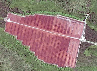 Aerial photo of harvested peat field