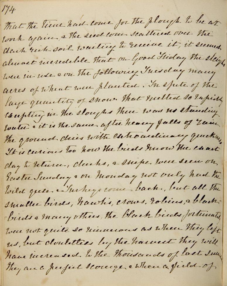 Chapitre 14 du journal d'Emma Averill
