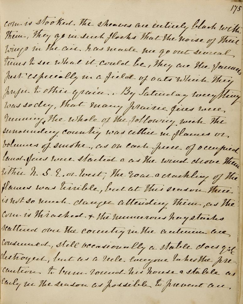 Chapitre 14 du journal d'Emma Averill