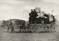 Photograph of an ox-cart