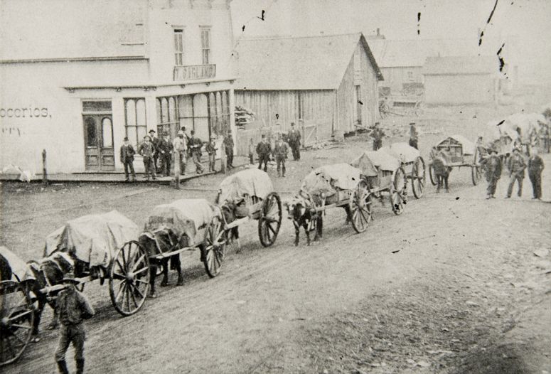 Photograph of Portage-la-Prairie, c 1880.