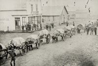 Photograph of Portage-la -Prairie, c 1880.