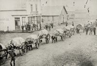 Photographie de Portage-la-Prairie, v. 1880.