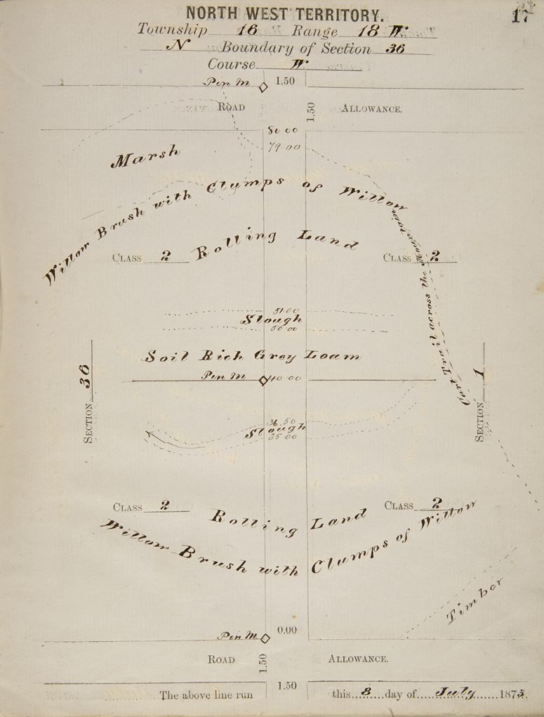 Surveyor field notes