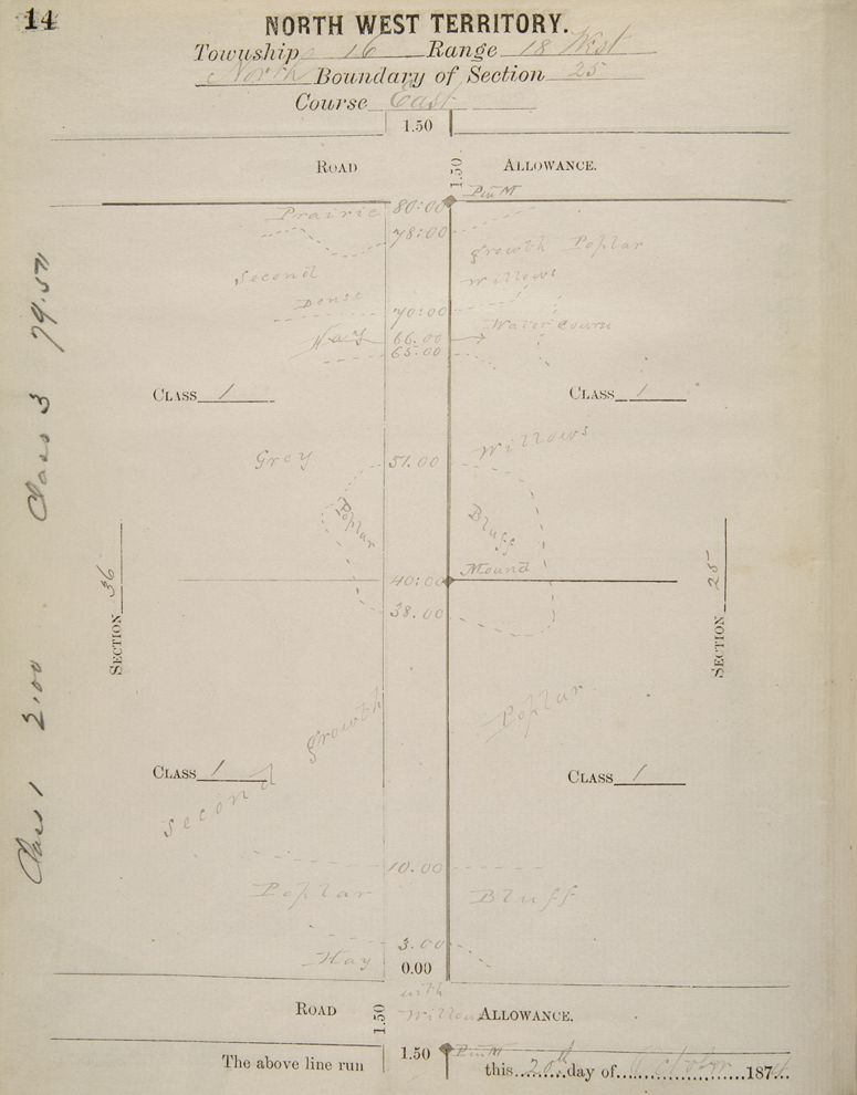 Surveyor field notes