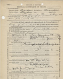 Medical Certificate of Death for Robert Lane, c. 1924