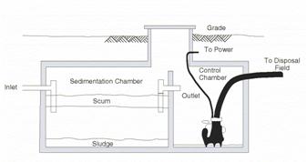 Septic field