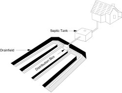 Septic tank
