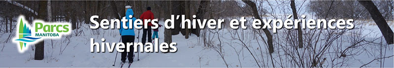 Winter Trails banner