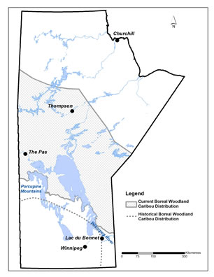 boreal caribou range legend