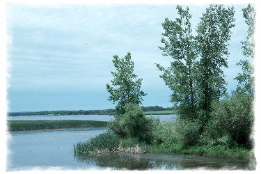 Stephenfield Provincial Park