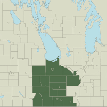 Central district