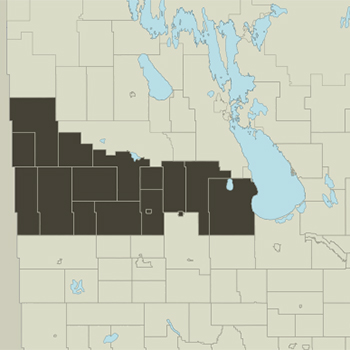 Midwestern