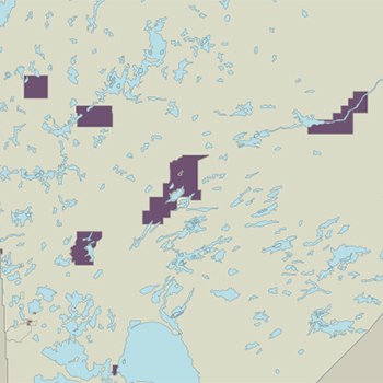 Northern district